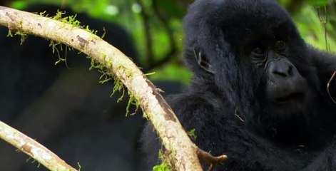 Secrets of Skin S01 E03