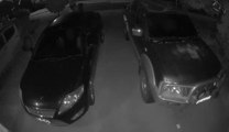 Attempted vehicle break-in