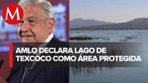 AMLO declara área natural protegida al Lago de Texcoco