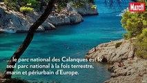 Les Calanques de Cassis : merveilles des côtes méditerranéennes