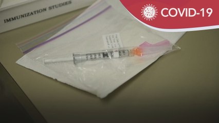 COVID-19 | Persediaan rapi bantu aspek pengedaran vaksin