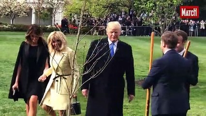 Donald Trump et Emmanuel Macron plantent un chêne dans les jardins de la Maison-Blanche
