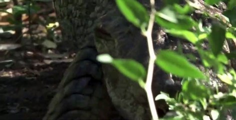 Secrets of Skin S01 E06