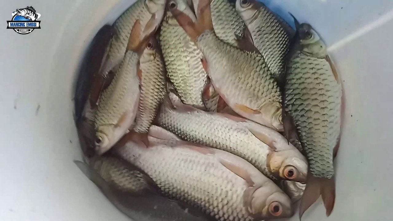 FISHING WADER HERE MAKES YOU DON'T WANT TO GO HOME SO MANY FISH SHITTINGS