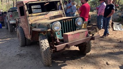 Moe the Willys Tow Tuck