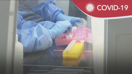 COVID-19 | Ujian saringan harian cukup menentukan kes harian