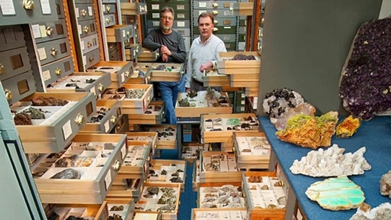 "Notre musée abrite une partie de l'histoire du monde"