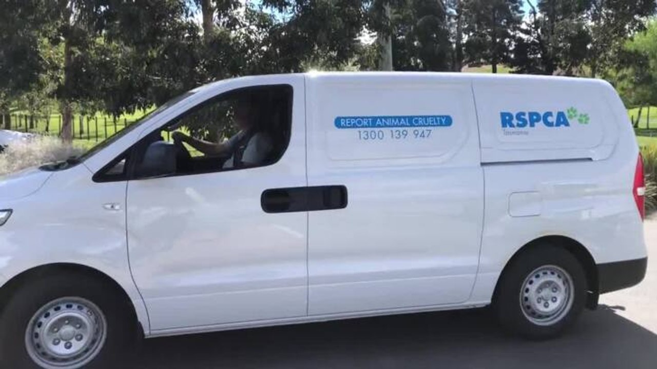 RSPCA van