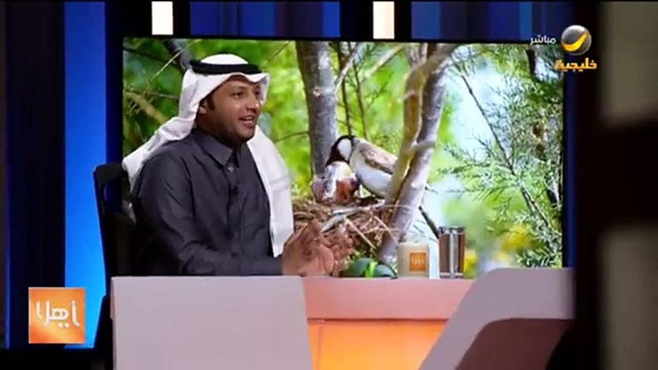 من صائد للطيور إلى توثيق حياتها.. - المصور بدر محمد القاسم يكشف لياهلا عن الموقف الذي جعله يتحول من صائد طيور إلى مصور طيور - - @Birds_bader - برنا
