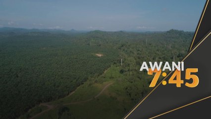 Komoditi | JCSPO pacu pemuliharaan, kelestarian sawit Sabah