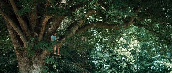 La bande-annonce du jour: "Le Voyage de Fanny"