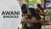 AWANI Ringkas: 19 ahli Jawatankuasa Khas Bebas Darurat 2021 diumum | Boleh 