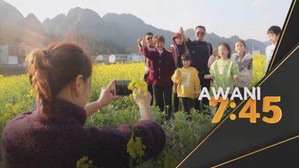 Pemandangan Musim Bunga Legakan Kesuraman Perayaan Ketika COVID-19