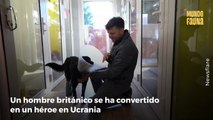 Veterinario se convierte en héroe al rescatar mascotas en medio de la guerra de Ucrania