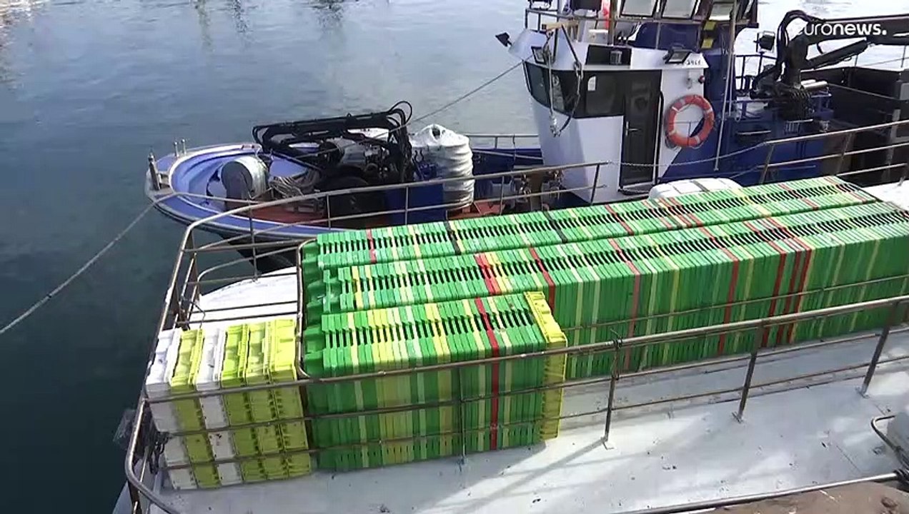 La flota pesquera española, en dique seco por e...
