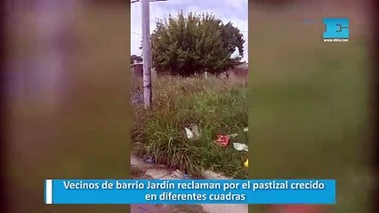 Vecinos de barrio Jardín reclaman por el pastizal crecido en diferentes cuadras
