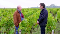 Au Château Léoville Poyferré, découvrez le vin de Saint-Julien