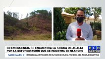 Alarmados se encuentran pobladores por deforestación de la Sierra de Agalta en Olancho