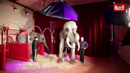 Dany Boon et les éléphants. Défense de ne pas rire