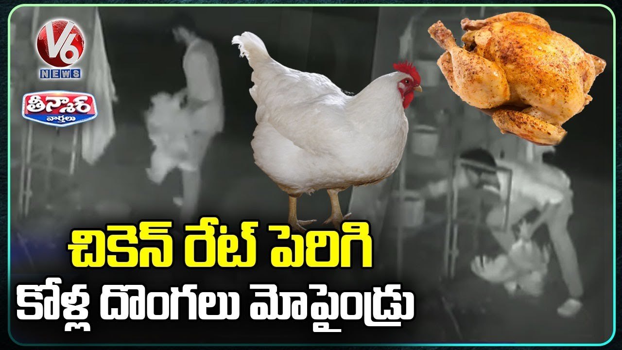Chicken Price Rises, Thieves Steals Hens From Store _ V6 Teenmaar