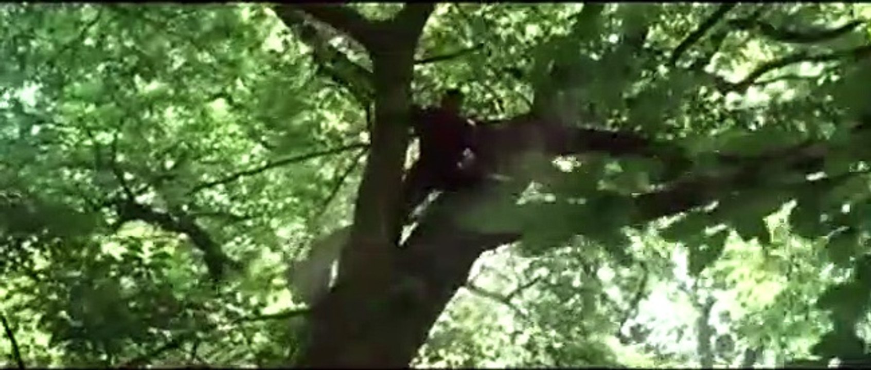 Bande Annonce : Robin des bois