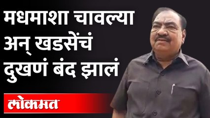 एकनाथ खडसेंच्या पाठदुखी, गुडघेदुखीवर मधमाशी उपचार, काय आहे पद्धत?Ekhnath Khadse Honey Bee Treatement