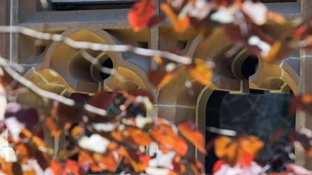 Around 5% of Australian students sexually assaulted on campus