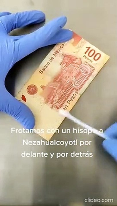 ¿Qué tan sucio está el dinero? Así lucen las bacterias de tus monedas y billetes