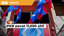 PKR pecat 11,000 ahli selepas Langkah Sheraton