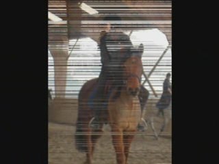 Stage du galop 3