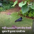 Shilpa Shetty's Daughter Samisha Chants Gayatri Mantra As She Prays For An Injured Bird. Watch