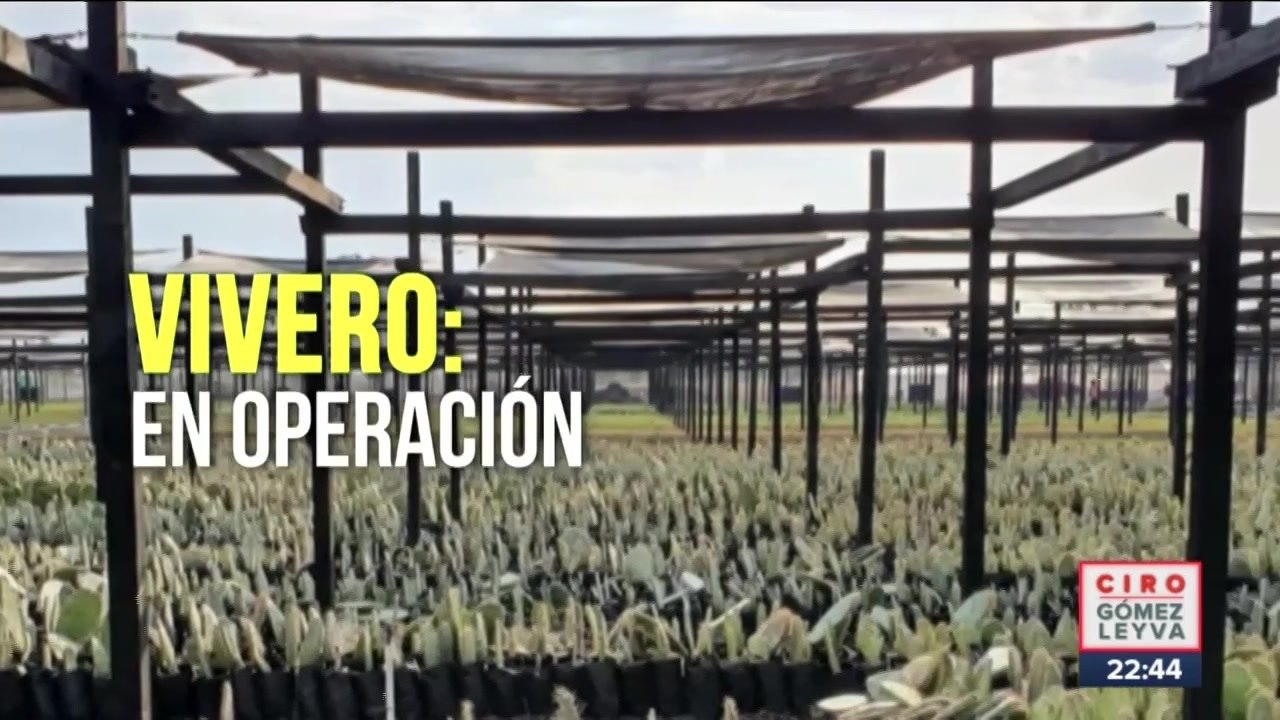 Gobierno Federal planea construir parque ecológico en Lago de Texcoco