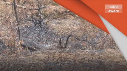 Cuaca Panas & Kering | 12 titik panas mudah terbakar di Melaka