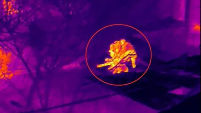 Termal drone’lu uyuşturucu operasyonu
