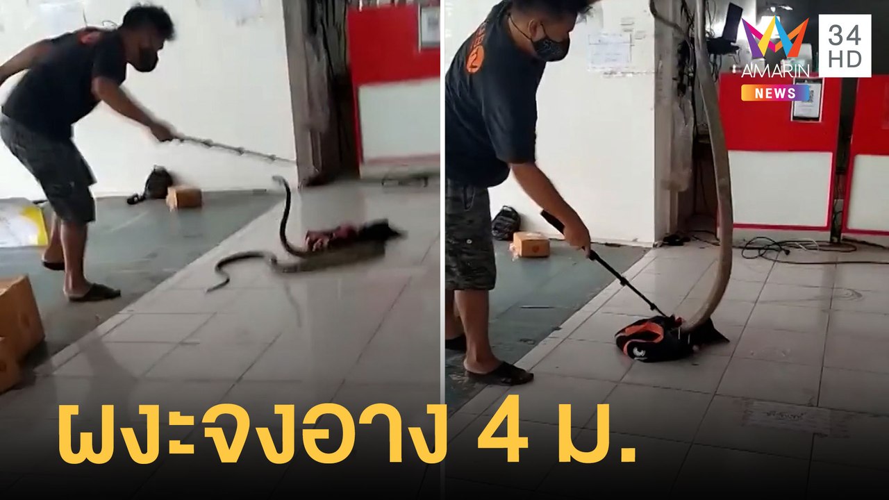 พนง.ขวัญกระเจิง! ลูกค้าส่งพัสดุข้างในเป็นจงอางย...