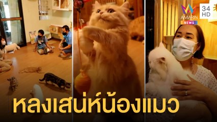 อดีตพยาบาลเปิดคาเฟ่แมว เพราะหลงเสน่ห์ความน่ารัก | ข่าวเที่ยงอมรินทร์ | 23 มี.ค.65