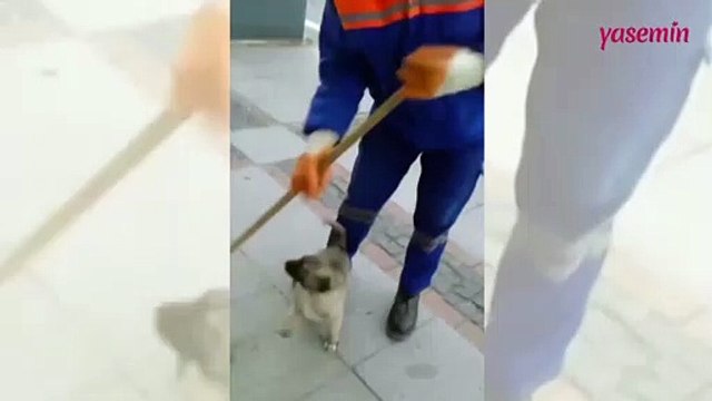 Temizlik görevlisi ve köpeğin eğlenceli anları! Oğlum bak git