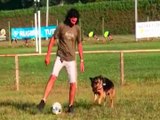 I superpoteri di Marley, il cane non vedente: gioca a pallone e va sullo scivolo