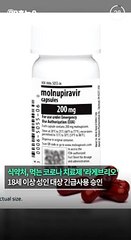 [30초뉴스] 식약처, 먹는 코로나약 '라게브리오' 긴급승인…복용 후 피임해야