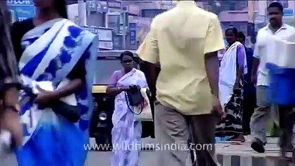 Auto Rickshaw at Kizhakke Kotta, Trivandrum