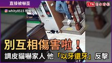 別互相傷害啦！ 調皮貓嚇家人 他「以牙還牙」反擊