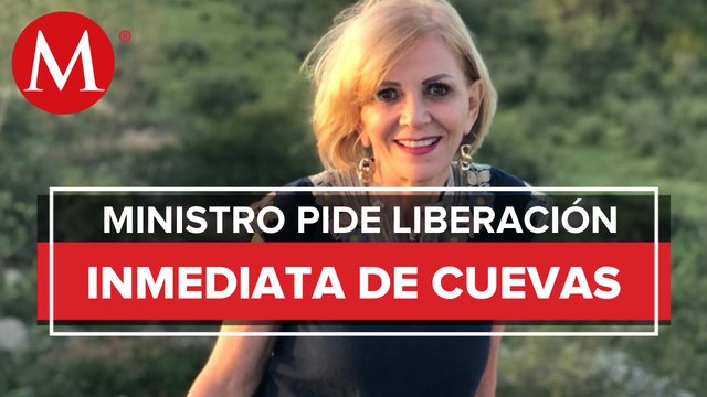 Muerte de Federico Gertz Manero no se puede atribuir a Alejandra Cuevas: ministro