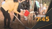 Alam Sekitar | Hari Tanam Pokok dapat sambutan luar biasa