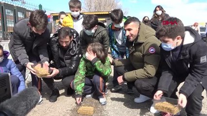 SPOR Mehmet Topal ve Şener Özbayraklı'dan sokak hayvanları için anlamlı hareket
