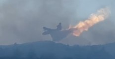 Incendi boschivi nel Nord Italia, Canadair in azione nel Piacentino (23.03.22)