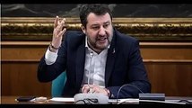 Salvini 