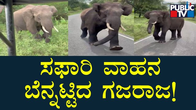 Video Of Elephant Chasing Safari Jeep At Bandipur | Public TV