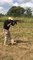 Private military training CORPGUARD Ivory Coast shooting range rat foot