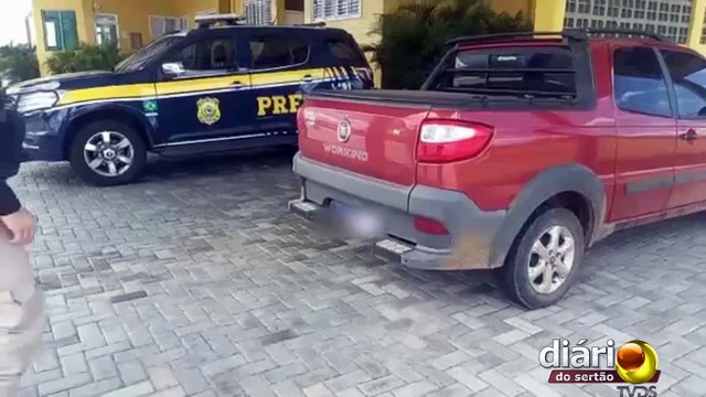 PRF apreende 10 aves da espécie Canário da Terra em condições degradantes, na região de Patos