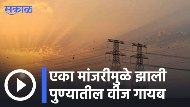 Pune | एका मांजरीमुळे झाली पुण्यातील वीज गायब | Sakal |